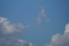 dsc02700