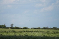dsc02719